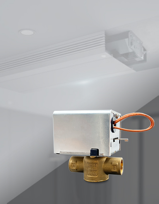 Valve